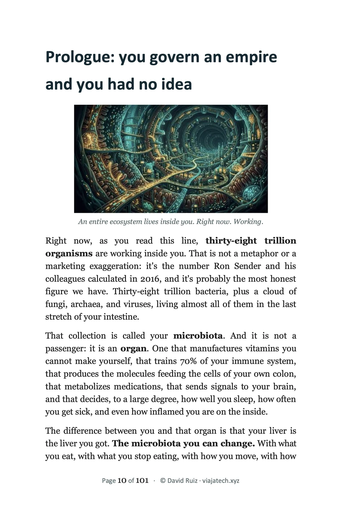 The Invisible Empire — Probiotics and Prebiotics: A Practical Guide to Your Microbiota · edición en inglés — Vista previa 1
